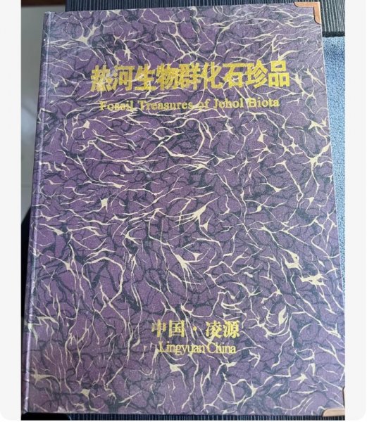 闲置书籍一本 热河生物群化石珍品