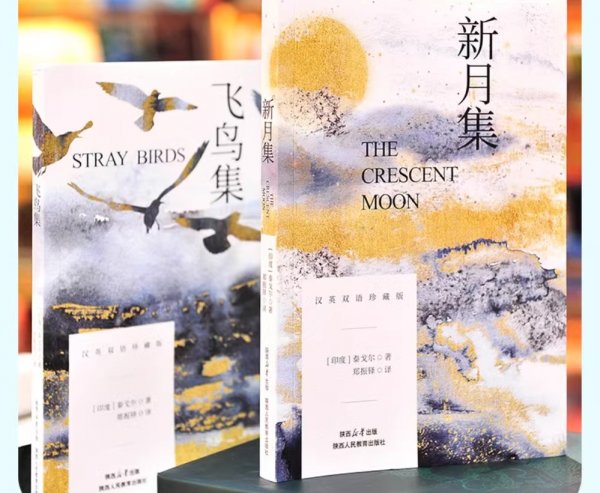 飞鸟集新月集泰戈尔诗集 飞鸟集新月集泰戈尔诗集